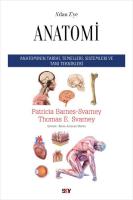 A’dan Z’ye Anatomi A’dan Z’ye Anatomi