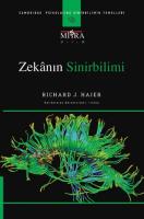 Zekanın Sinirbilimi Zekanın Sinirbilimi