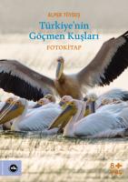 Türkiye’nin Göçmen Kuşları Türkiye’nin Göçmen Kuşları