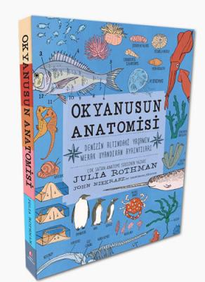 Okyanusun Anatomisi Julia Rothman