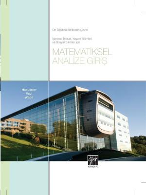 Matematiksel Analize Giriş Haeussler Paul Wood